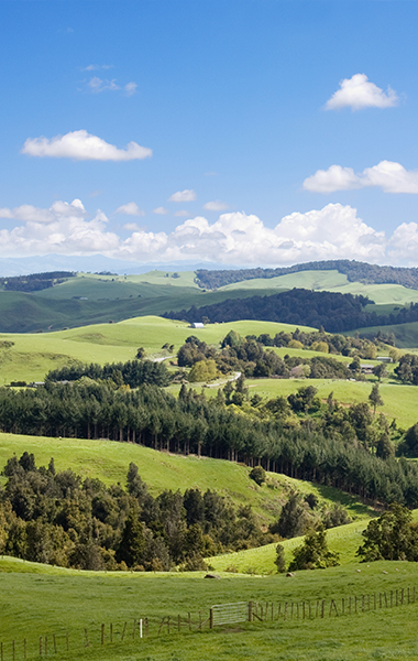 Rural land with potential to subdivide needing a resource consent