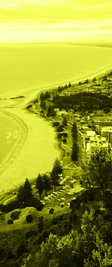 Mt Maunganui Land Surveying